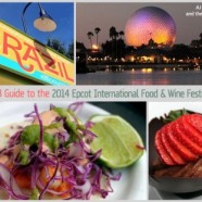 News! Launch of the ‘DFB Guide to the 2014 Epcot Food and Wine Festival’ e-book