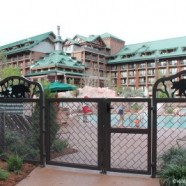 Wilderness Lodge Pool Reopens