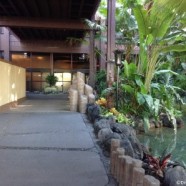 More Updates from Disney’s Polynesian Village Resort