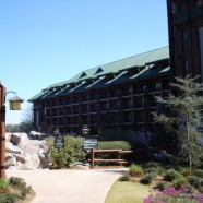 Overnight Parking Rates Increased at Walt Disney World Resort Hotels
